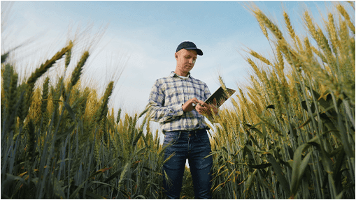 Farmer looking at online loan dashboard