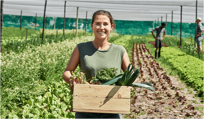 Female farmer holding crops basket shows sustainably growth after agri credit loan