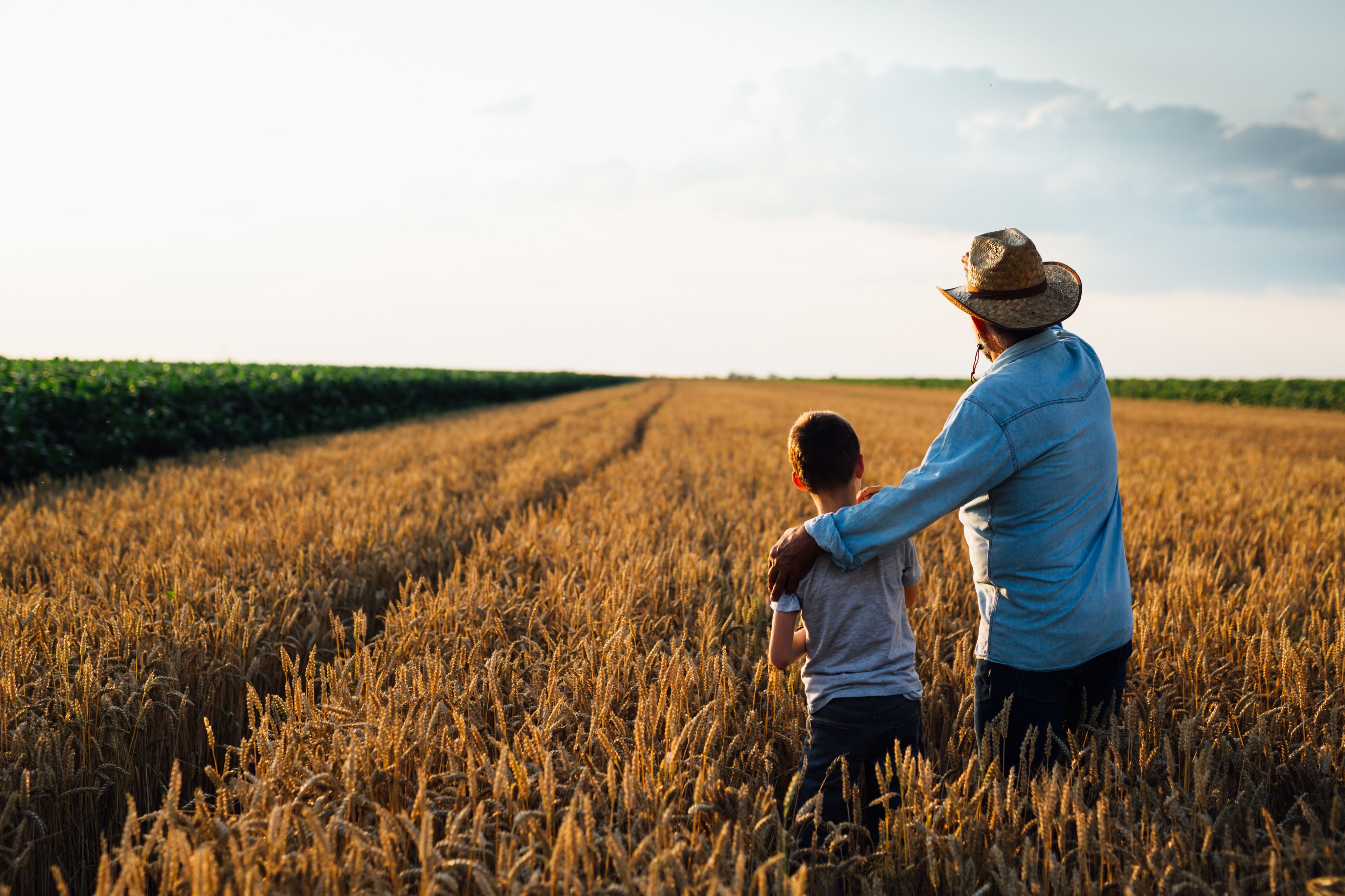 Farmer in wheat field with son showing family-owned farms