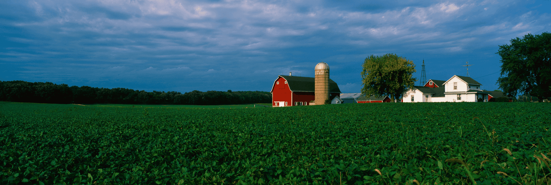 Farmhouse and red barn surrounded by lush green crop fields supported by farm input loan