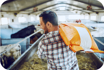 Happy farmer feeding animals in cattle after farm input loan support