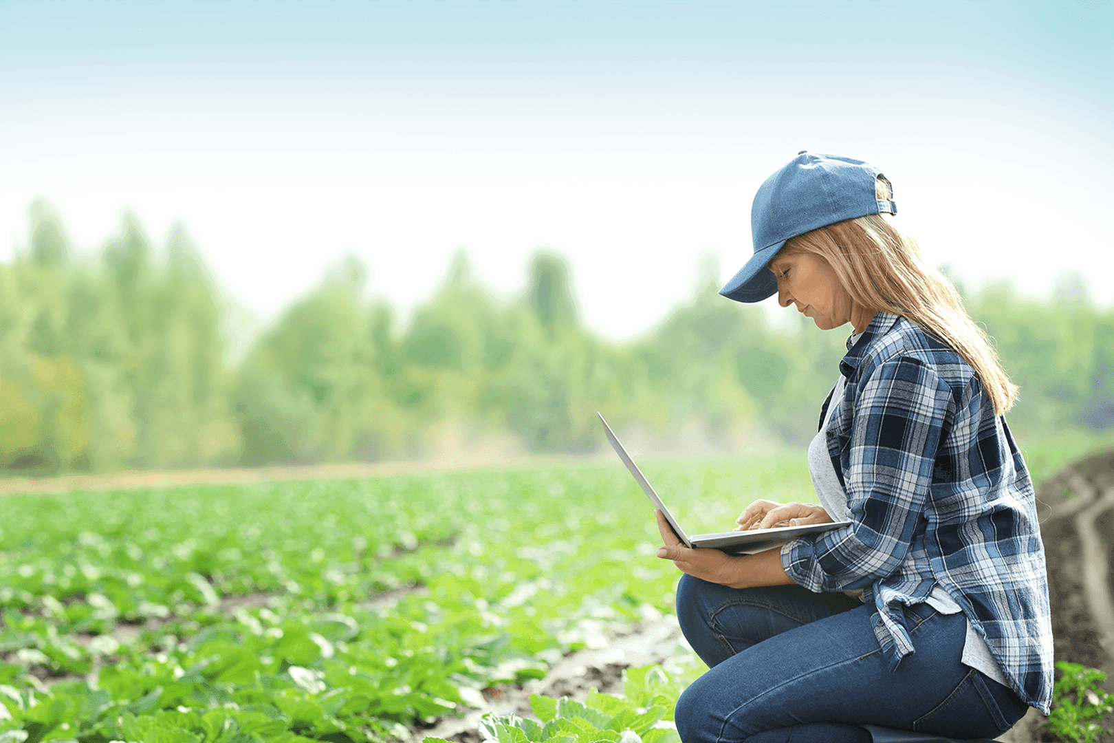 Farmer using laptop in the field to receive farm finance tips and updates via AgriScope.